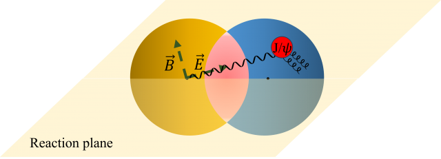 Schematic_ofv2